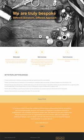 Website design and buil