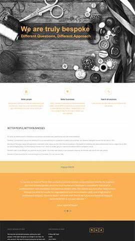 Website design and buil